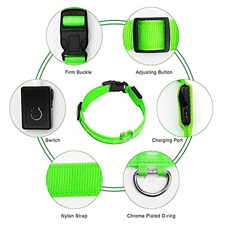 GeDog 3.0 Leuchtendes Hundehalsband