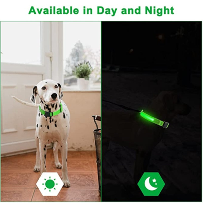 GeDog 3.0 Leuchtendes Hundehalsband