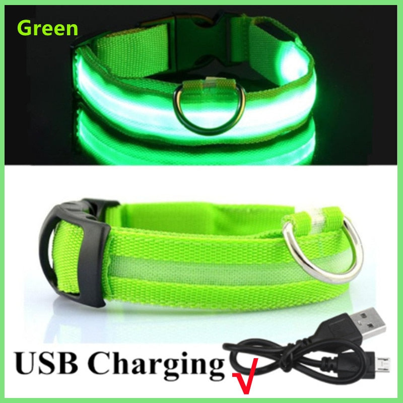 GeDog 3.0 Leuchtendes Hundehalsband