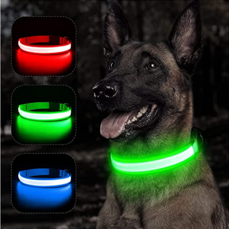 GeDog 3.0 Leuchtendes Hundehalsband