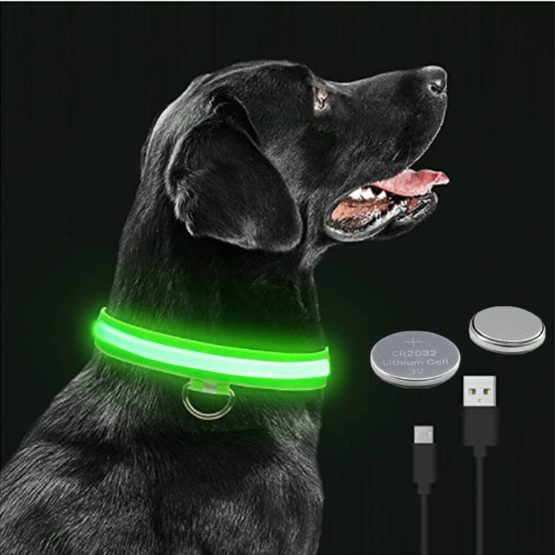 GeDog 3.0 Leuchtendes Hundehalsband