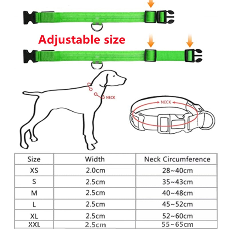 GeDog 3.0 Leuchtendes Hundehalsband