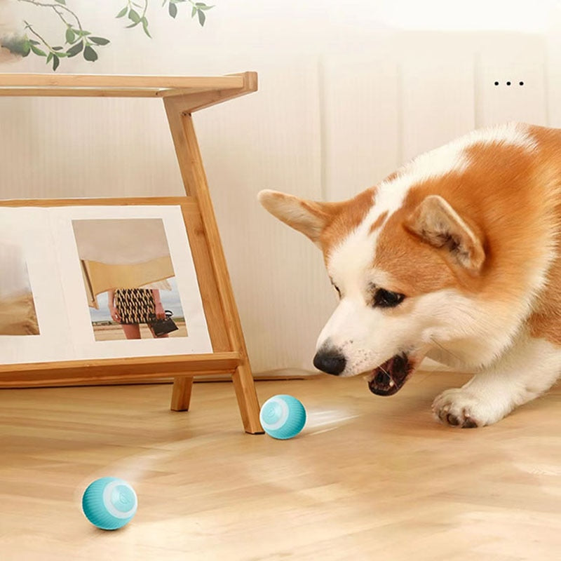 Elektrischer Katzenball mit LED-Licht