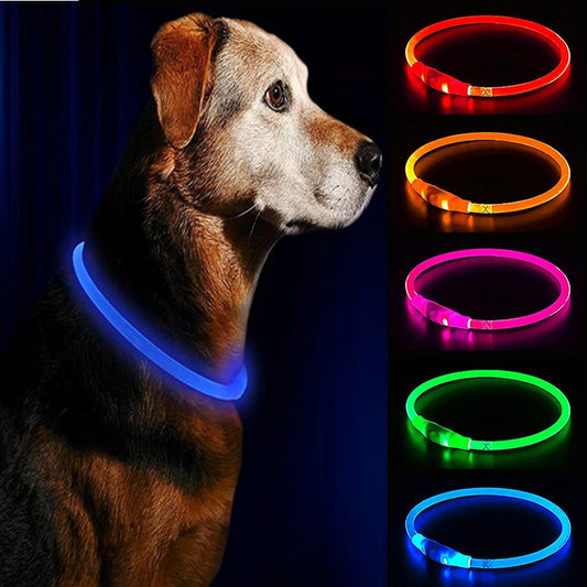 Leuchtendes Hundehalsband